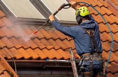 Démoussage et hydrofuge de toiture à Laguépie